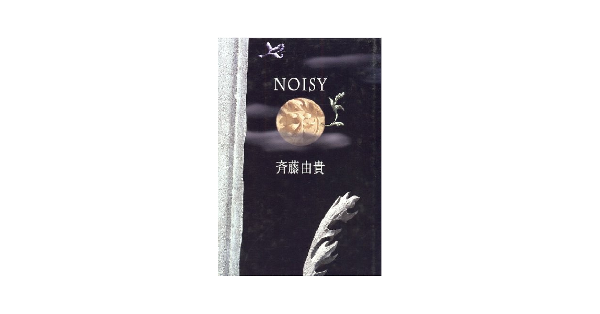 NOISY | 斉藤 由貴 |本 | 通販 | Amazon